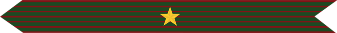 United States Marine Corps French Croix De Guerre Campaign Streamer with one gilt star 